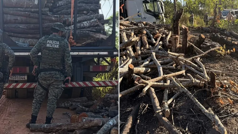 PM apreende caminhão com madeira nativa sem origem comprovada em Camaçari